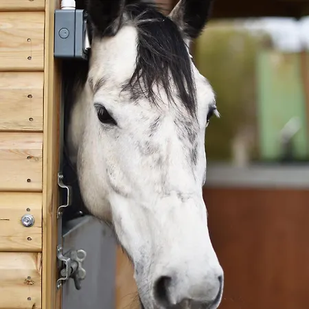 Harrogate Country 3* Huby