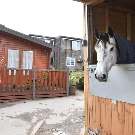 Harrogate Country Huby