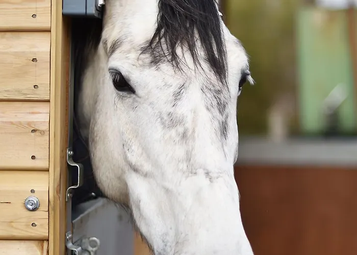 Harrogate Country 3* Huby