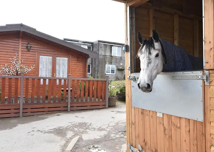 Harrogate Country Huby